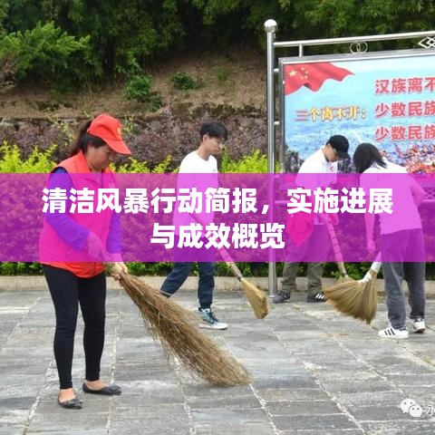 清洁风暴行动简报，实施进展与成效概览