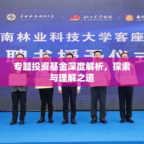 专题投资基金深度解析，探索与理解之道
