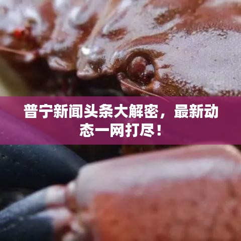 普宁新闻头条大解密，最新动态一网打尽！