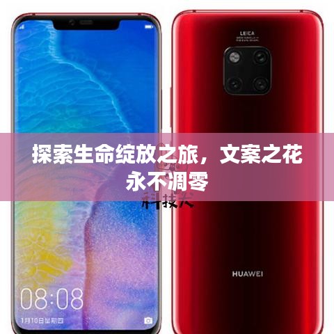 探索生命绽放之旅，文案之花永不凋零
