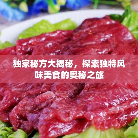 独家秘方大揭秘，探索独特风味美食的奥秘之旅