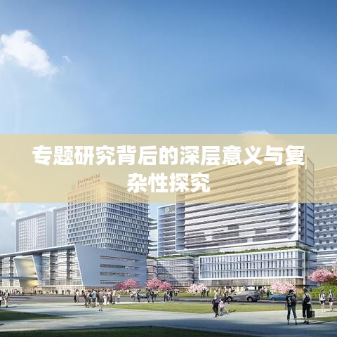 专题研究背后的深层意义与复杂性探究