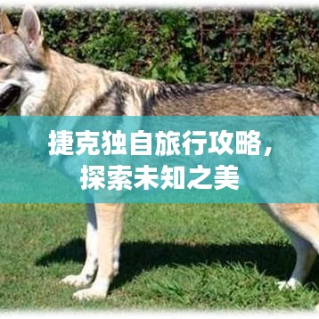 捷克独自旅行攻略，探索未知之美