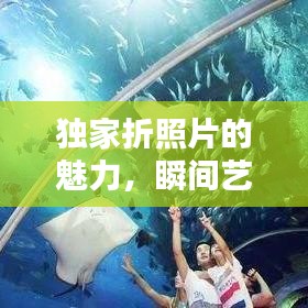 独家折照片的魅力，瞬间艺术尽在其中探索