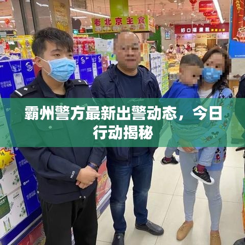 霸州警方最新出警动态，今日行动揭秘