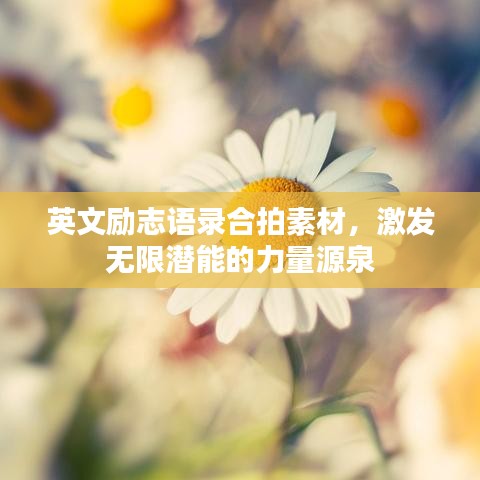 英文励志语录合拍素材，激发无限潜能的力量源泉