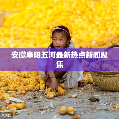 安徽阜阳五河最新热点新闻聚焦