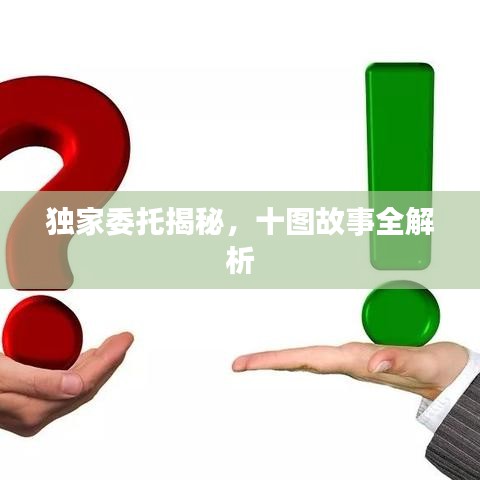 独家委托揭秘，十图故事全解析