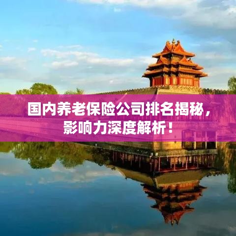 国内养老保险公司排名揭秘，影响力深度解析！