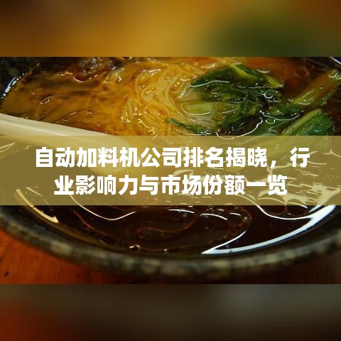 自动加料机公司排名揭晓，行业影响力与市场份额一览