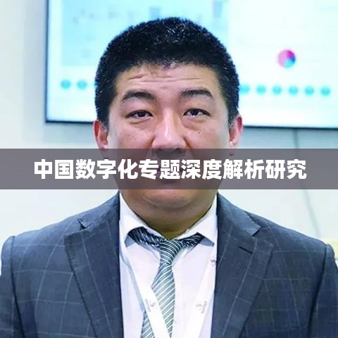 中国数字化专题深度解析研究
