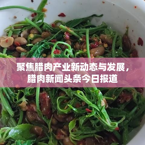聚焦腊肉产业新动态与发展，腊肉新闻头条今日报道