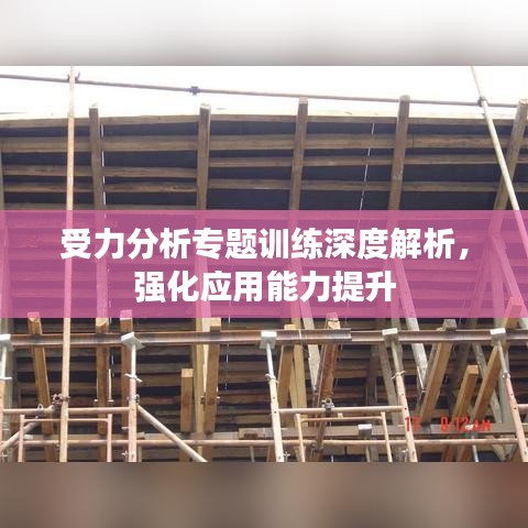 受力分析专题训练深度解析，强化应用能力提升