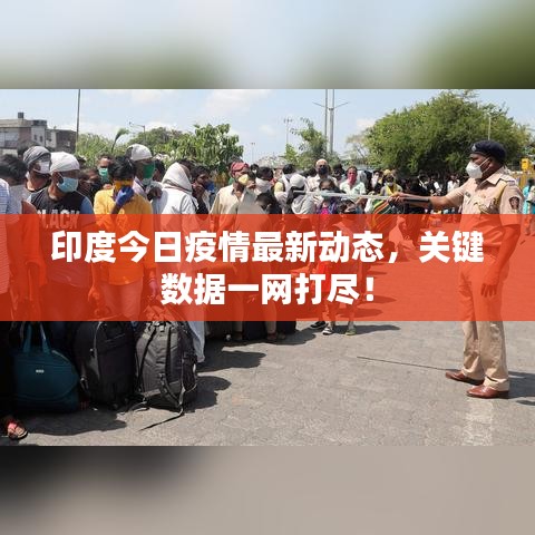 印度今日疫情最新动态，关键数据一网打尽！