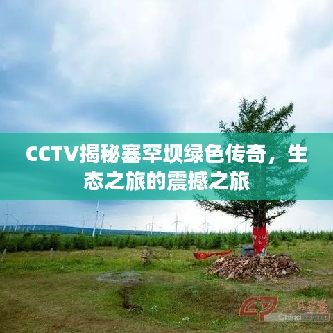 CCTV揭秘塞罕坝绿色传奇，生态之旅的震撼之旅