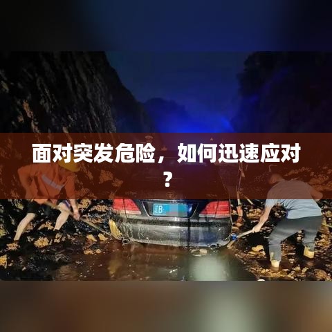 面对突发危险，如何迅速应对？