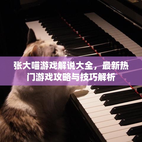 张大喵游戏解说大全，最新热门游戏攻略与技巧解析