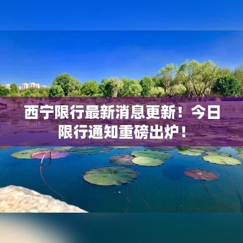 西宁限行最新消息更新！今日限行通知重磅出炉！