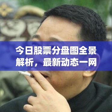 今日股票分盘图全景解析，最新动态一网打尽