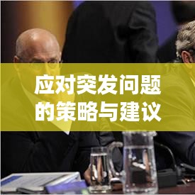 应对突发问题的策略与建议，实用指南助你应对危机！
