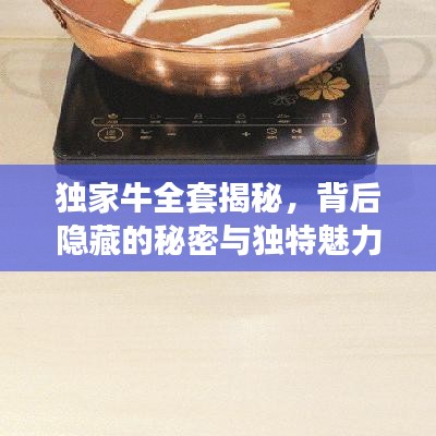 独家牛全套揭秘，背后隐藏的秘密与独特魅力