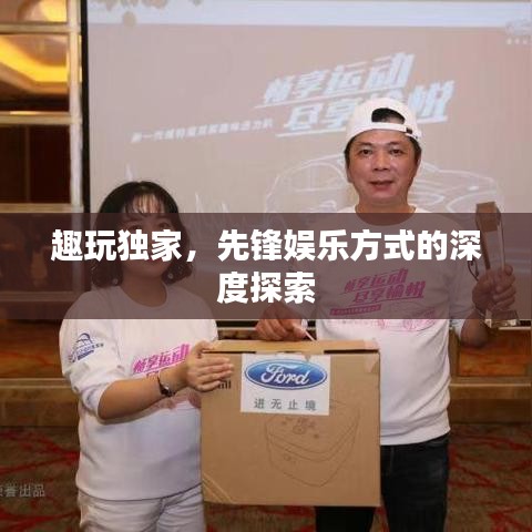 趣玩独家，先锋娱乐方式的深度探索