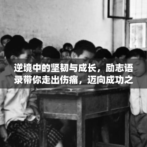 逆境中的坚韧与成长，励志语录带你走出伤痛，迈向成功之路