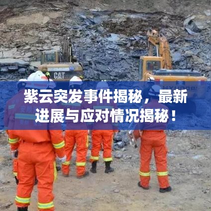 紫云突发事件揭秘，最新进展与应对情况揭秘！