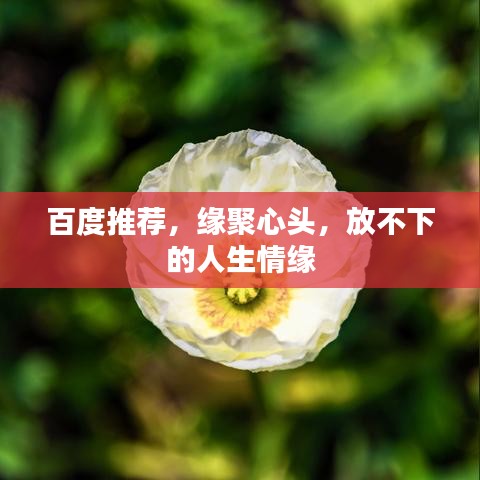 百度推荐，缘聚心头，放不下的人生情缘