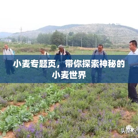 冰清玉洁 第2页