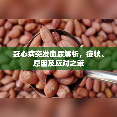 冠心病突发血尿解析，症状、原因及应对之策