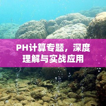 PH计算专题，深度理解与实战应用