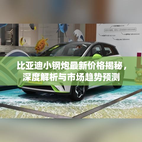 比亚迪小钢炮最新价格揭秘，深度解析与市场趋势预测