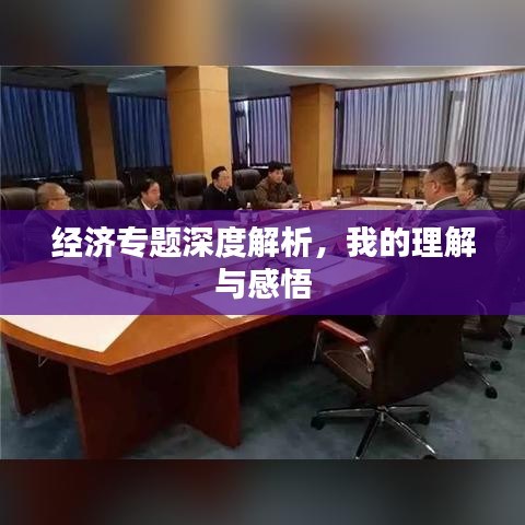 经济专题深度解析，我的理解与感悟
