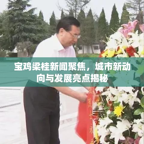 宝鸡梁桂新闻聚焦，城市新动向与发展亮点揭秘