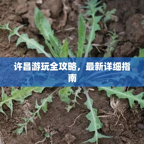 许昌游玩全攻略，最新详细指南