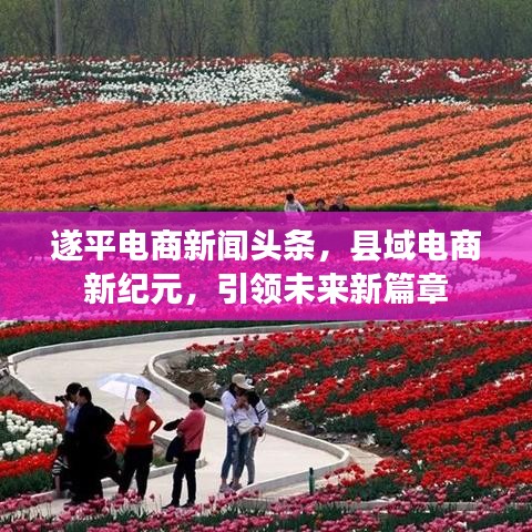 遂平电商新闻头条，县域电商新纪元，引领未来新篇章