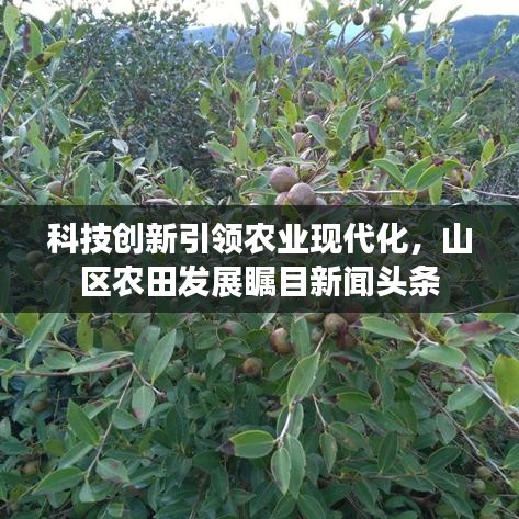 科技创新引领农业现代化，山区农田发展瞩目新闻头条