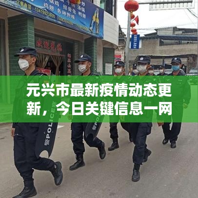 元兴市最新疫情动态更新，今日关键信息一网打尽！