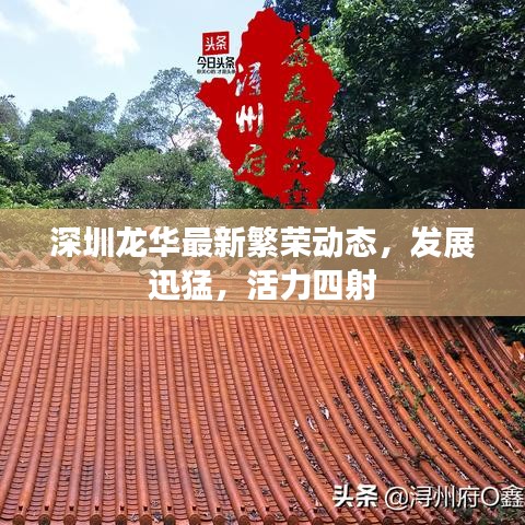 深圳龙华最新繁荣动态，发展迅猛，活力四射