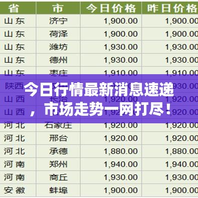 今日行情最新消息速递，市场走势一网打尽！