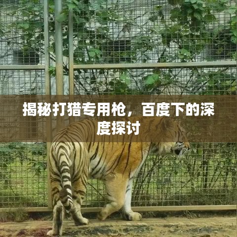 揭秘打猎专用枪，百度下的深度探讨