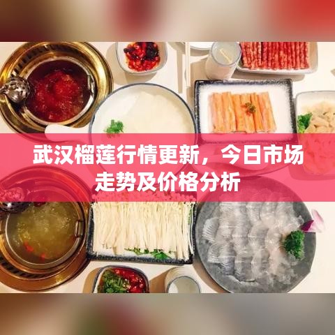 武汉榴莲行情更新，今日市场走势及价格分析