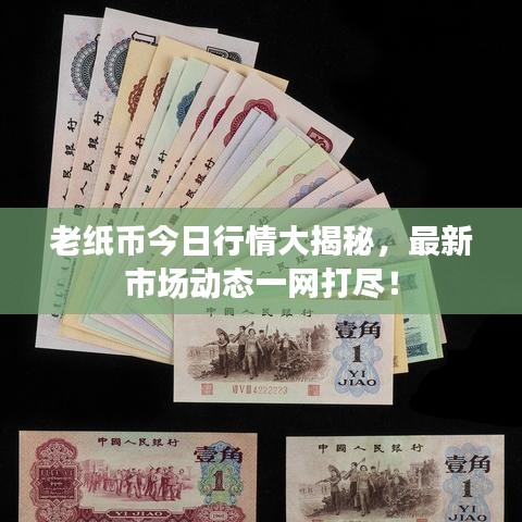 老纸币今日行情大揭秘，最新市场动态一网打尽！