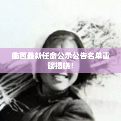 临西最新任命公示公告名单重磅揭晓！