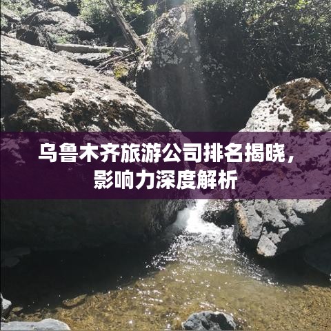 乌鲁木齐旅游公司排名揭晓，影响力深度解析