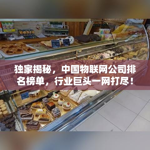 独家揭秘，中国物联网公司排名榜单，行业巨头一网打尽！