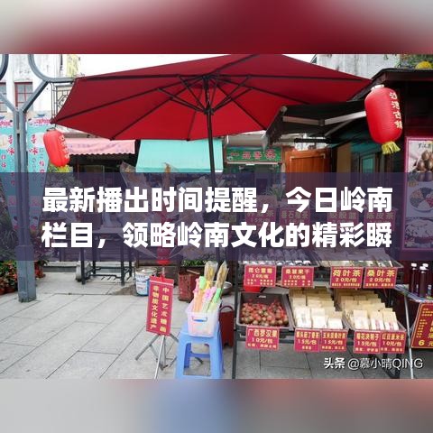 最新播出时间提醒，今日岭南栏目，领略岭南文化的精彩瞬间