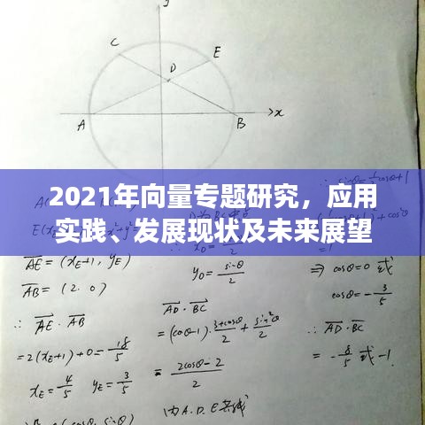 2021年向量专题研究，应用实践、发展现状及未来展望