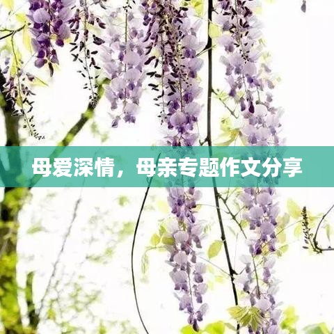 母爱深情，母亲专题作文分享